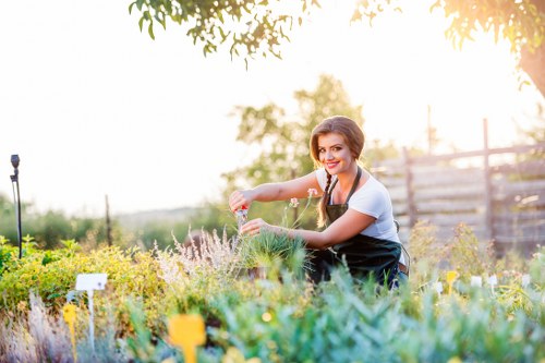 Gardening services in New Barnet for a tidy residential garden