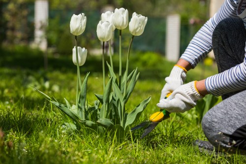 Regular garden care in New Barnet improving outdoor space and curb appeal