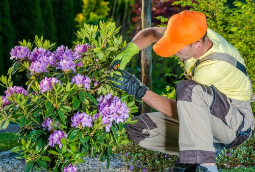 Seasonal lawn care work in a New Barnet outdoor space