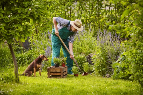 Gardeners working in a New Barnet garden