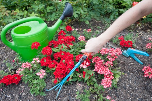Overgrown garden being cleared in New Barnet