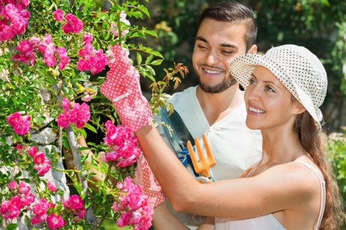 Professional gardening services in New Barnet for a clean patio and garden