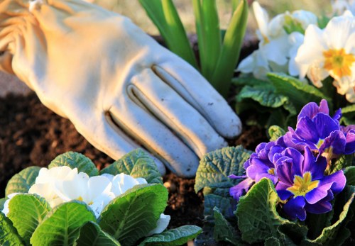 Image symbolising corrective action and compliance oversight in New Barnet gardening services