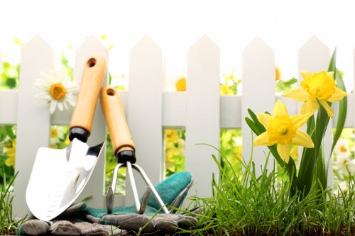 Healthy grass maintenance in a New Barnet residential garden