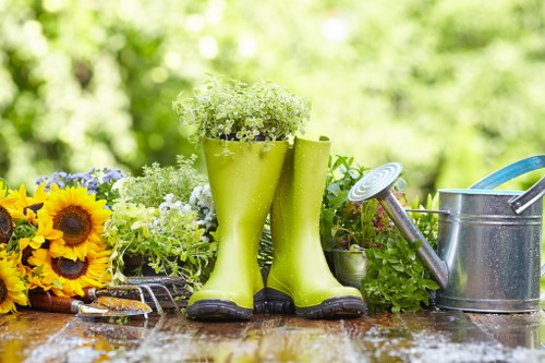 Garden hedge maintenance in New Barnet during the growing season