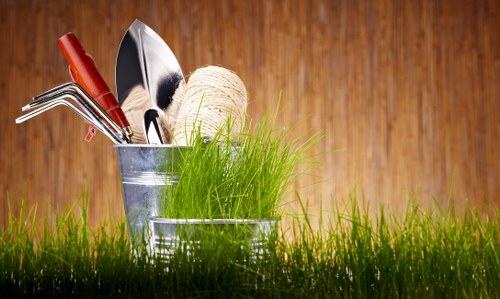 Stump grinding and tree maintenance service in New Barnet