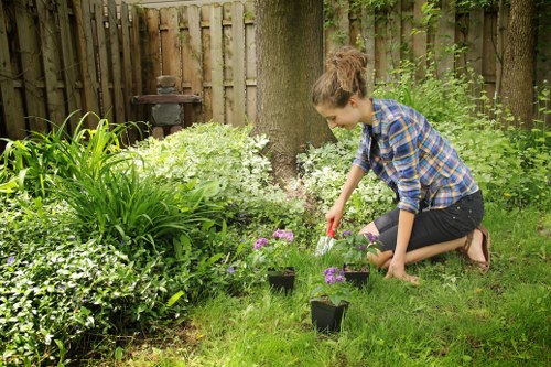 Seasonal garden maintenance in New Barnet with leaf clearance and lawn upkeep