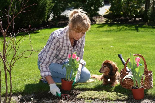 Image showing ongoing annual review and ethical commitment for Gardeners New Barnet