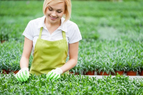 Professional grass cutting service for a tidy garden