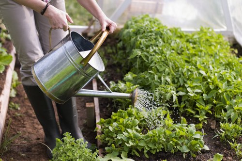 Professional garden care in New Barnet with seasonal planting