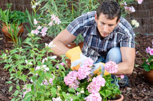 Professional lawn maintenance results in New Barnet