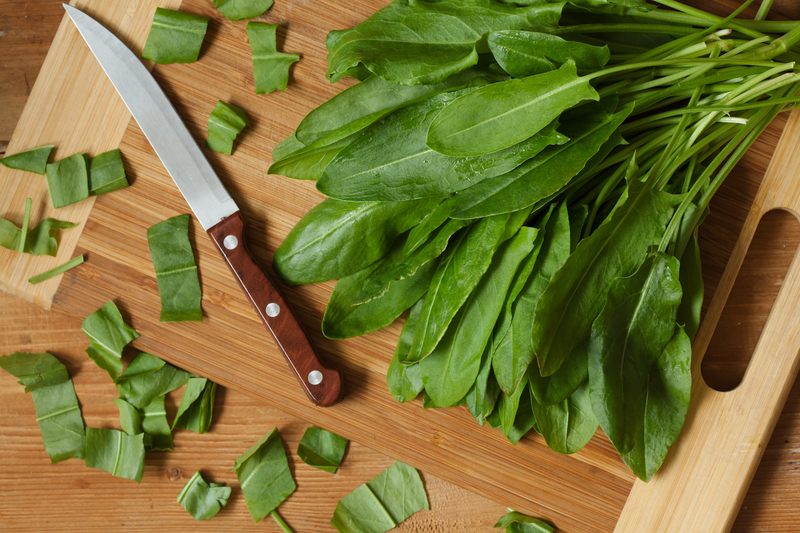 irrigation system garden