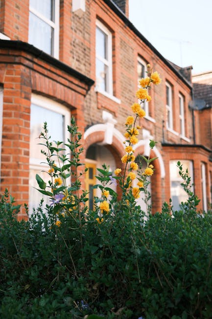 A small front garden featuring a paved patio area with a decorative metal bench positioned against a white exterior wall of a house, with a window that has a white frame and a small balcony railing. T